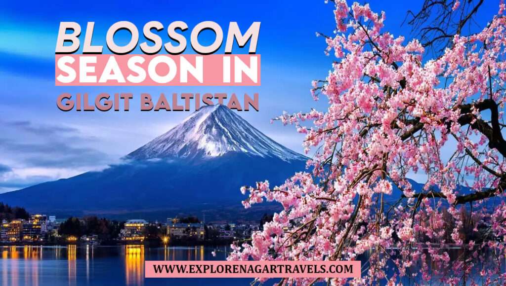 Incredible Four Seasons in Pakistan To Travel